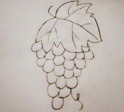 葡萄简笔画（图解步骤）
