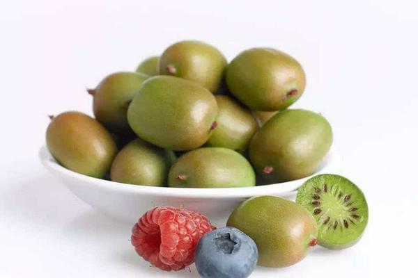 软枣猕猴桃价格多少钱一斤