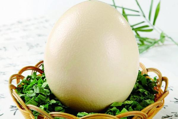鸵鸟蛋怎么吃 鸵鸟蛋怎么打开 鸵鸟蛋好吃吗
