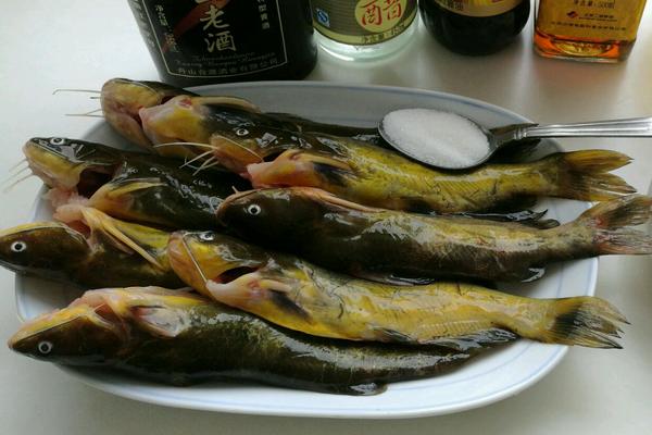 黄颡鱼孕妇能吃吗？