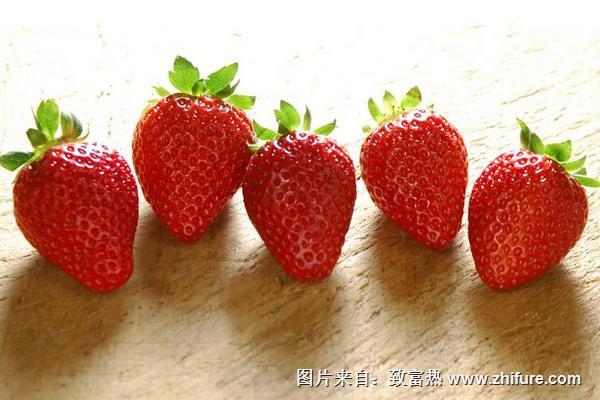 草莓价格多少钱一斤