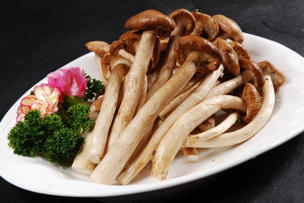 茶树菇的做法大全 茶树菇怎么做好吃