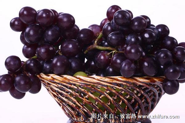 吃葡萄能减肥吗