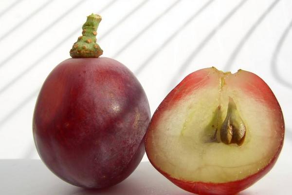 吃葡萄能减肥吗