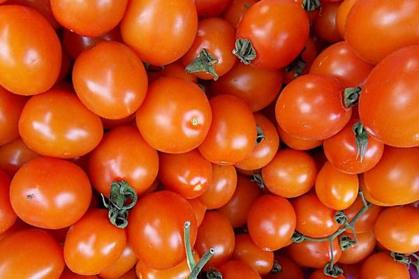 番茄就是西红柿吗 番茄和西红柿的区别是什么