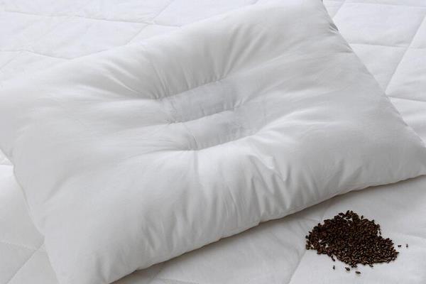 决明子枕头的价格多少钱一个 决明子枕头有什么好处 决明子枕头怎么做