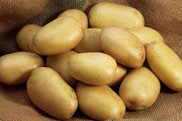 土豆能加工成什么