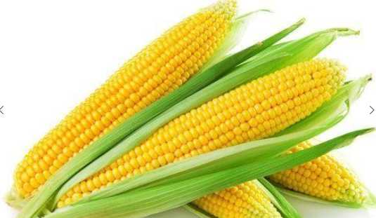 玉米的营养价值和功效 玉米与什么搭配更有营养