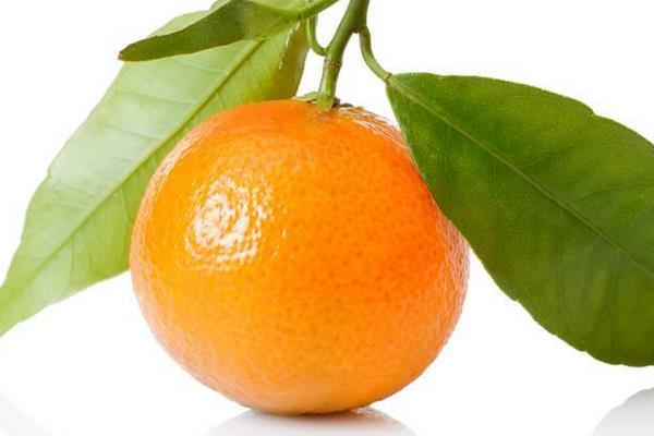 柑橘和柑桔有什么分别
