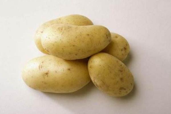 马铃薯功效与作用及禁忌