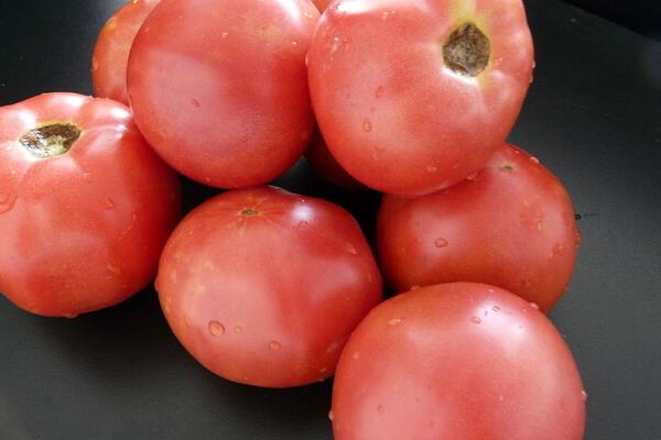 番茄功效与作用及禁忌 番茄营养价值