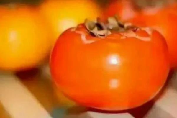 硬柿子和软柿子的区别是什么 硬柿子怎么保存
