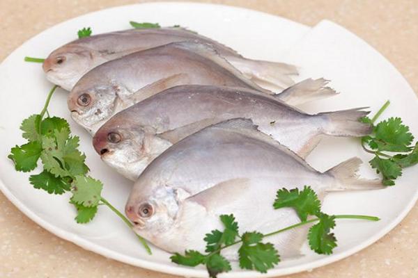 白鲳鱼怎么洗干净 平鱼和鲳鱼的区别是什么
