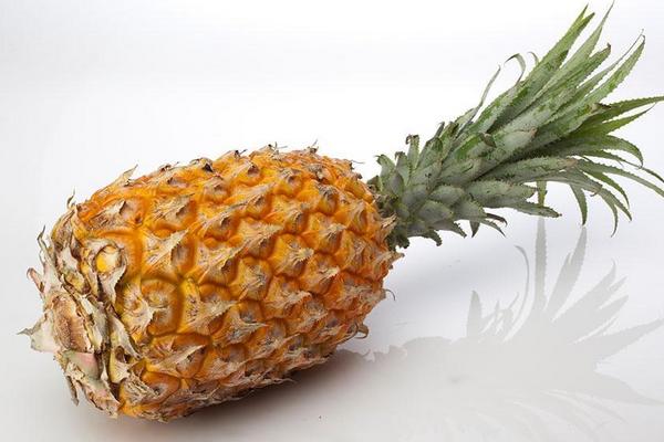 凤梨和菠萝的区别是什么