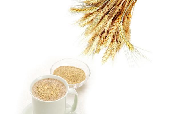 小麦胚芽的功效与作用及禁忌