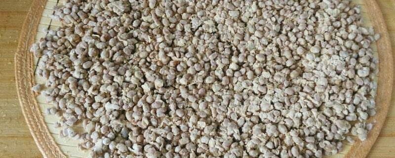 发酵大豆肥料的肥效与作用