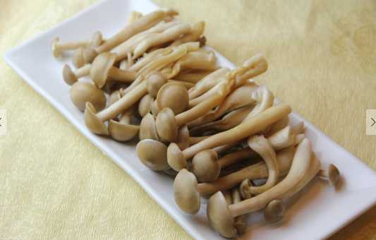 茶树菇的营养价值和功效 孕妇可以吃茶树菇吗