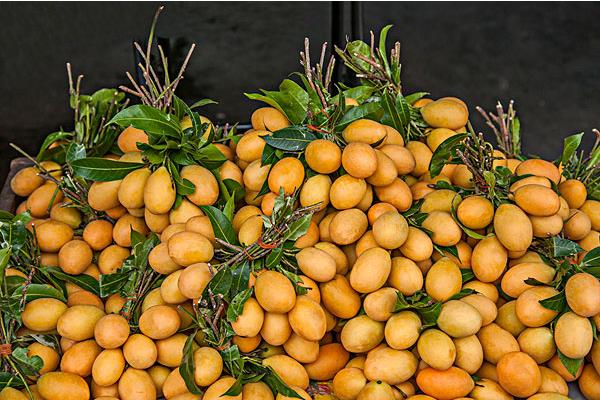 小芒果价格多少钱一斤