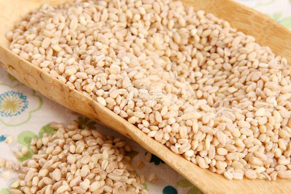 小麦市场价格多少钱一斤？
