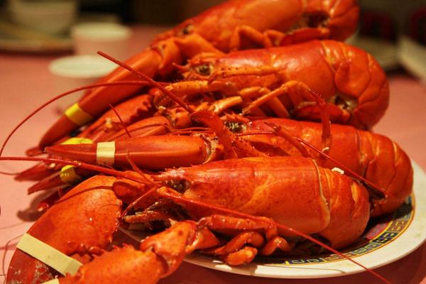 波士顿龙虾多少钱一斤？