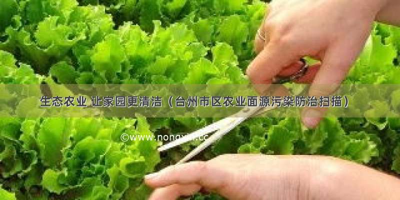 生态农业 让家园更清洁（台州市区农业面源污染防治扫描）