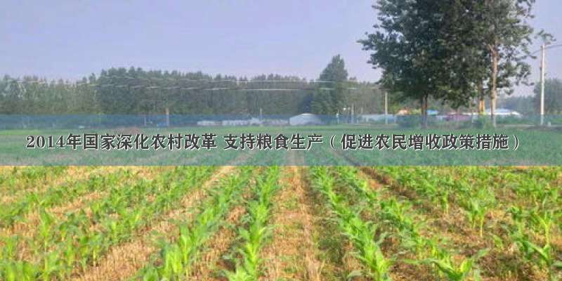 2014年国家深化农村改革 支持粮食生产（促进农民增收政策措施）