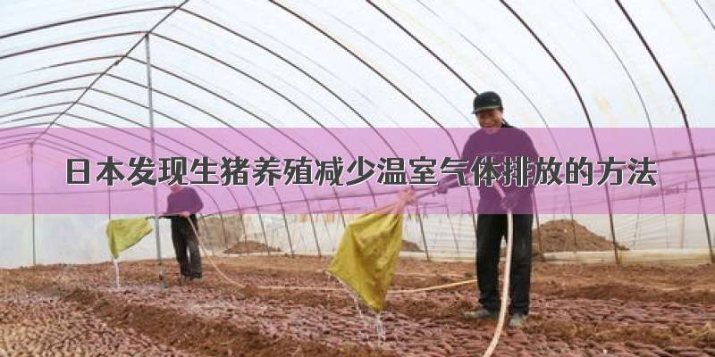 日本发现生猪养殖减少温室气体排放的方法