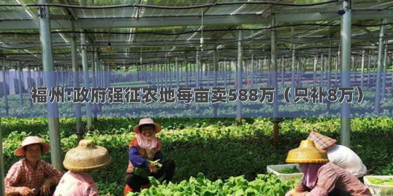 福州:政府强征农地每亩卖588万（只补8万）