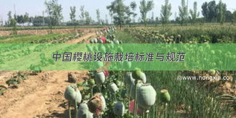 中国樱桃设施栽培标准与规范