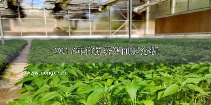 2017年竹鼠养殖前景分析