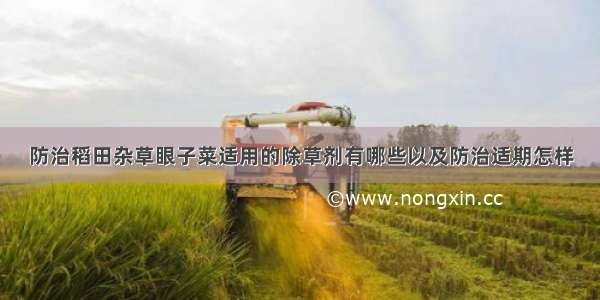 防治稻田杂草眼子菜适用的除草剂有哪些以及防治适期怎样