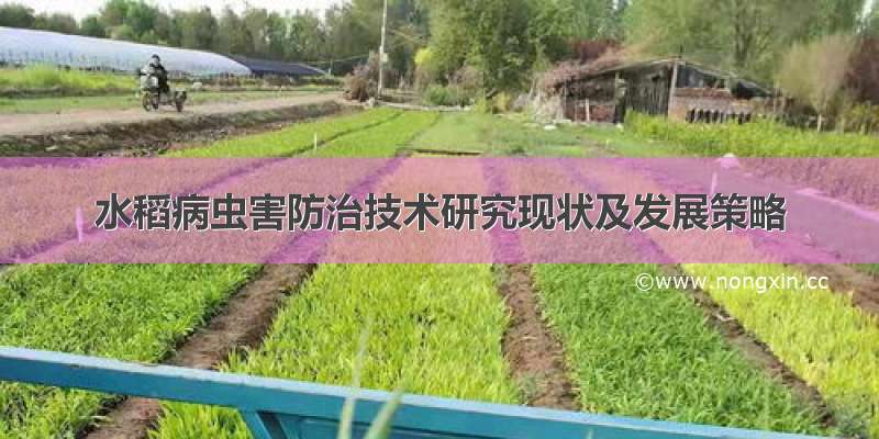 水稻病虫害防治技术研究现状及发展策略