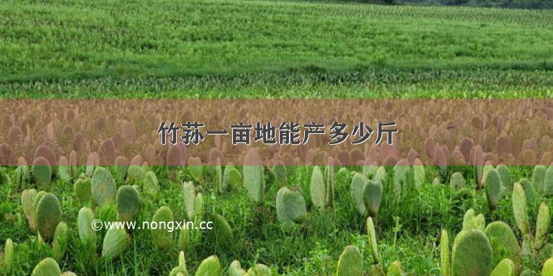 竹荪一亩地能产多少斤