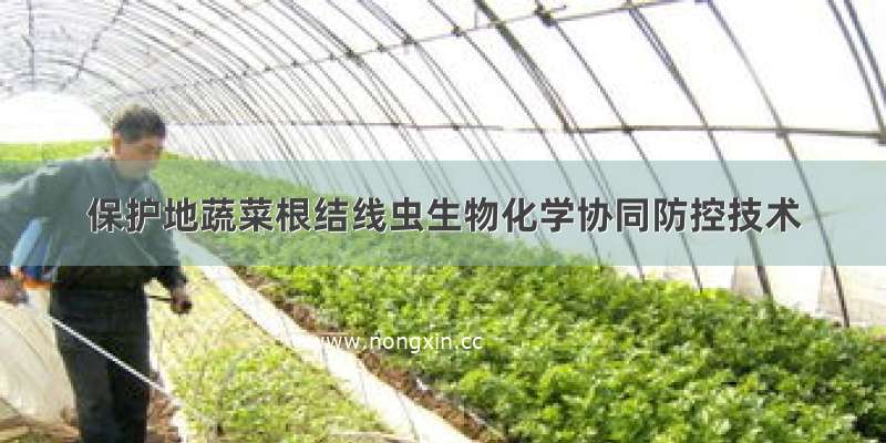 保护地蔬菜根结线虫生物化学协同防控技术