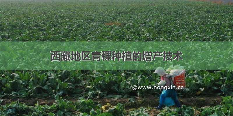 西藏地区青稞种植的增产技术