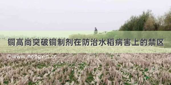 铜高尚突破铜制剂在防治水稻病害上的禁区