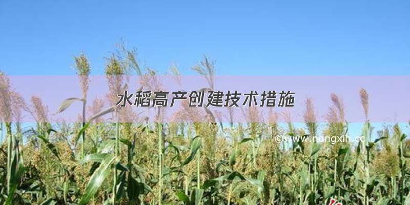 水稻高产创建技术措施