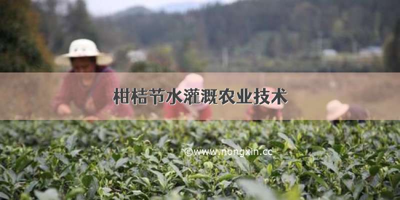柑桔节水灌溉农业技术