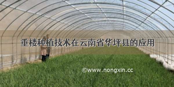 重楼种植技术在云南省华坪县的应用