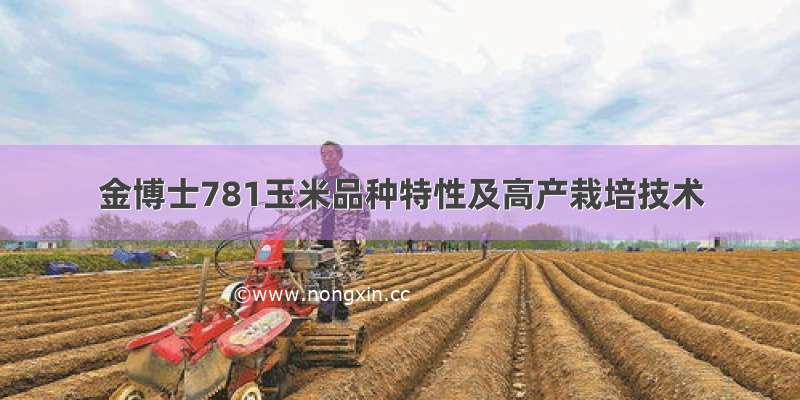 金博士781玉米品种特性及高产栽培技术