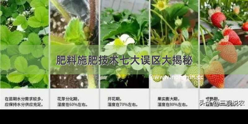 肥料施肥技术七大误区大揭秘