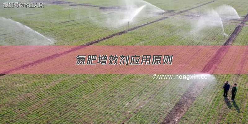 氮肥增效剂应用原则
