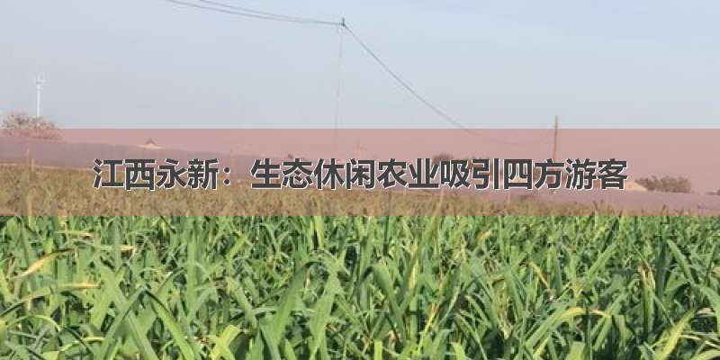 江西永新：生态休闲农业吸引四方游客
