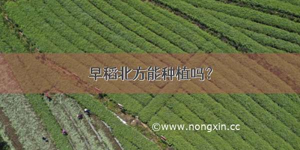 早稻北方能种植吗？