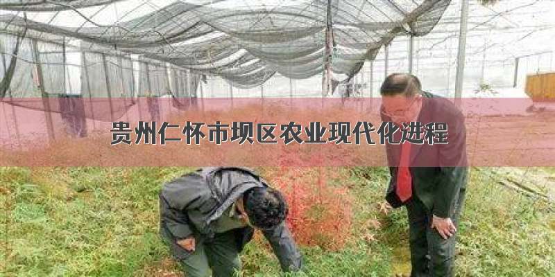 贵州仁怀市坝区农业现代化进程