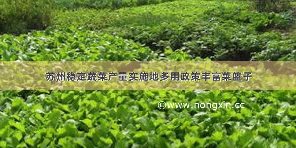 苏州稳定蔬菜产量实施地多用政策丰富菜篮子