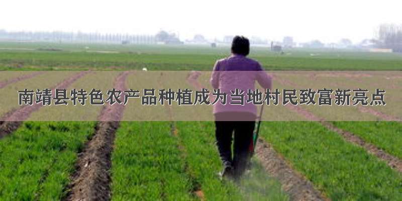 南靖县特色农产品种植成为当地村民致富新亮点