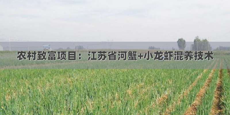 农村致富项目：江苏省河蟹+小龙虾混养技术
