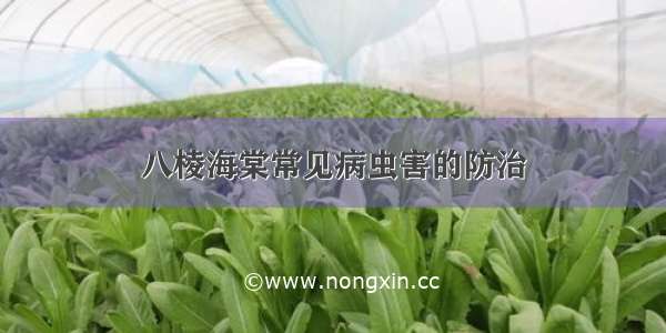 八棱海棠常见病虫害的防治