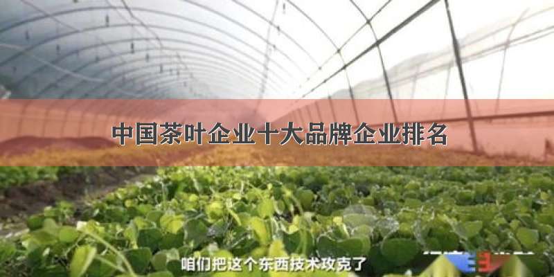 中国茶叶企业十大品牌企业排名